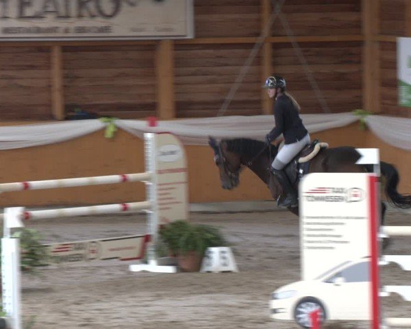 Reitturnier Xanten - Reitanlage Miss 2024