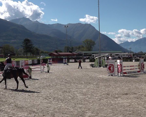 Reitturnier Giubiasco 2024