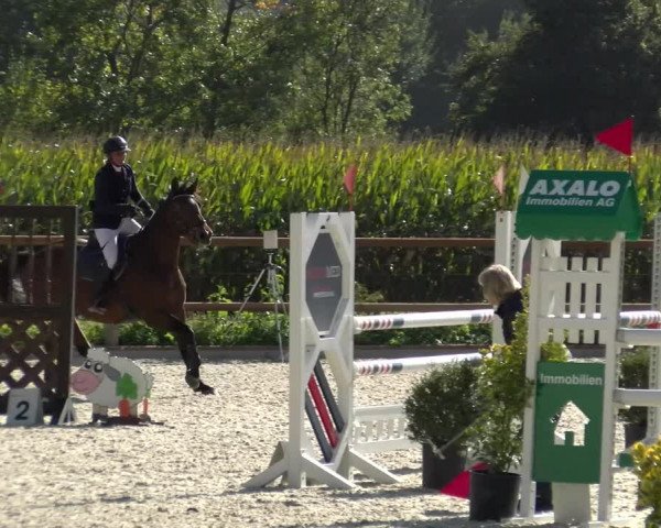 Reitturnier Felsberg 2021