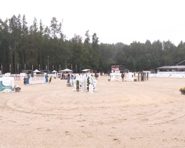 Reitturnier Ranshofen - Braunau am Inn 2024