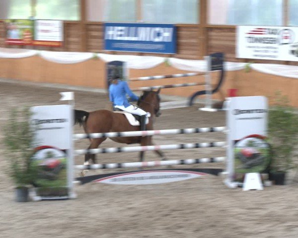Reitturnier Xanten - Reitanlage Miss 2024