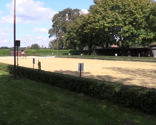 Reitturnier Bottrop-Kirchhellen 2024