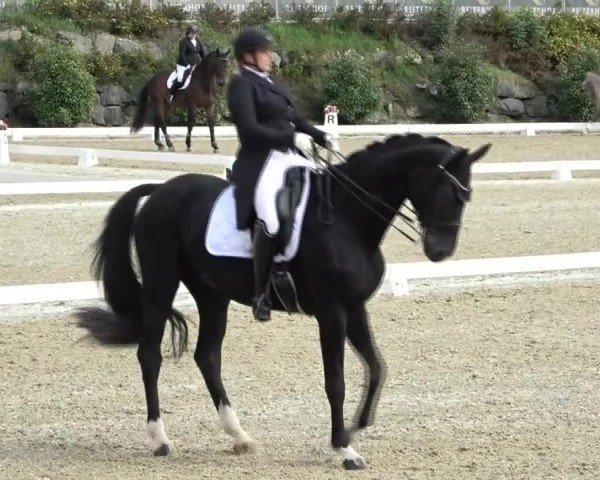 Reitturnier St. Margarethen 2024