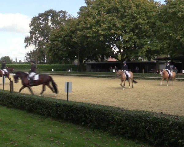Reitturnier Bottrop-Kirchhellen 2024