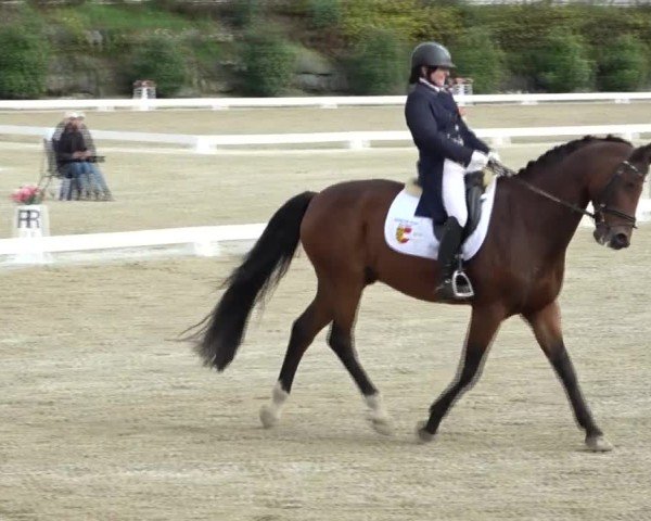 Reitturnier St. Margarethen 2024
