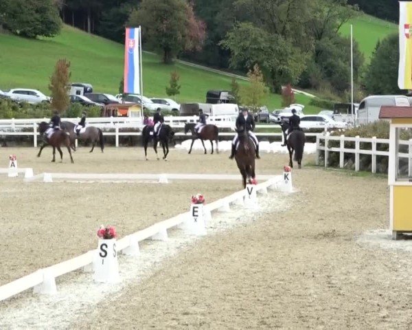 Reitturnier St. Margarethen 2024