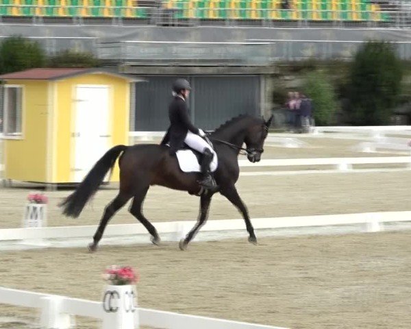 Reitturnier St. Margarethen 2024