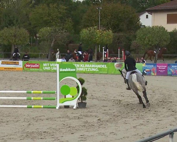 Reitturnier Frankenhof-Sonnefeld/Ofr. 2024
