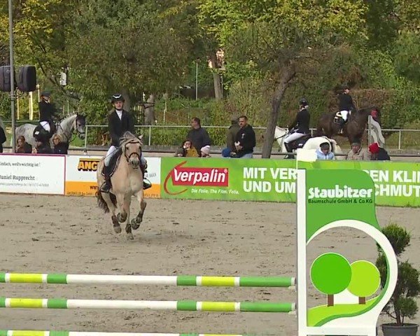 Reitturnier Frankenhof-Sonnefeld/Ofr. 2024
