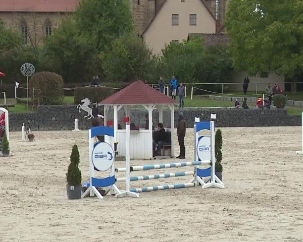 Reitturnier Frankenhof-Sonnefeld/Ofr. 2024