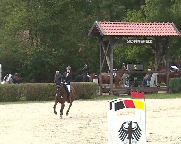 Reitturnier Frankenhof-Sonnefeld/Ofr. 2024