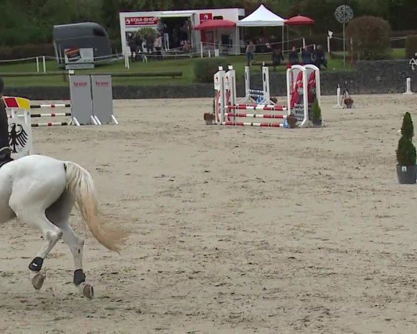 Reitturnier Frankenhof-Sonnefeld/Ofr. 2024