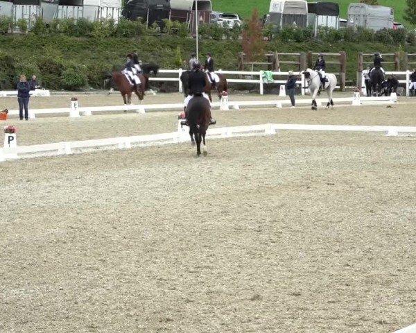 Reitturnier St. Margarethen 2024