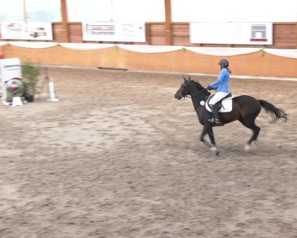 Reitturnier Xanten - Reitanlage Miss 2024