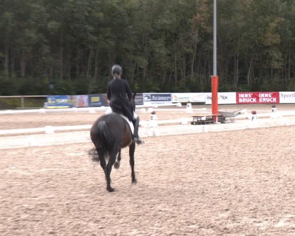 Reitturnier Igls 2024