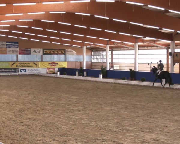 Reitturnier Isterberg 2024