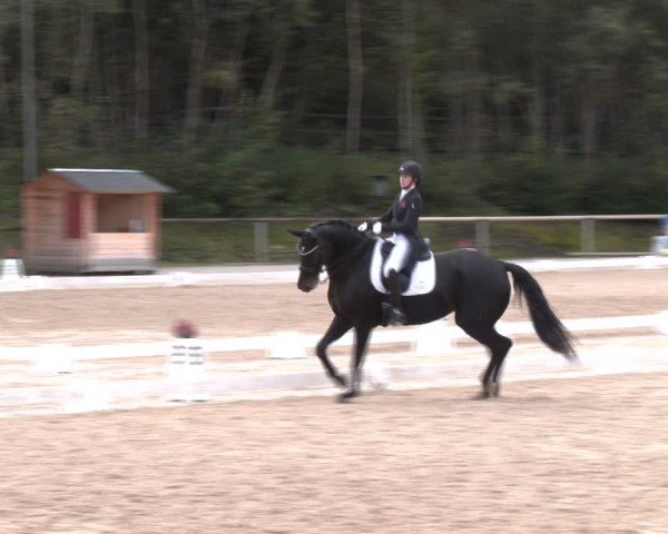 Reitturnier Igls 2024