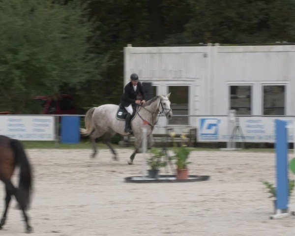 Reitturnier Pietzpuhl 2024