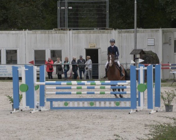 Reitturnier Pietzpuhl 2024