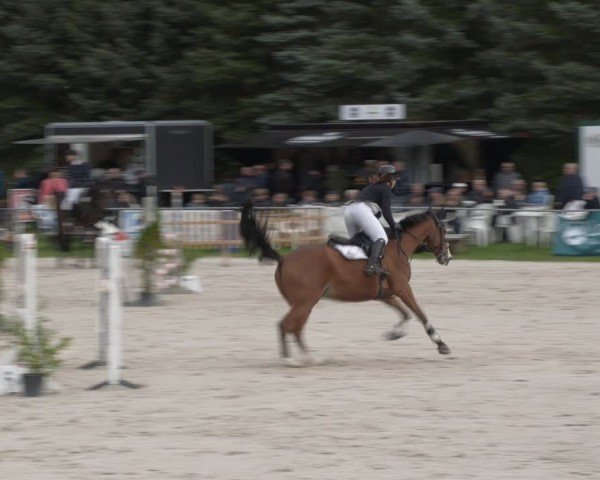 Reitturnier Pietzpuhl 2024