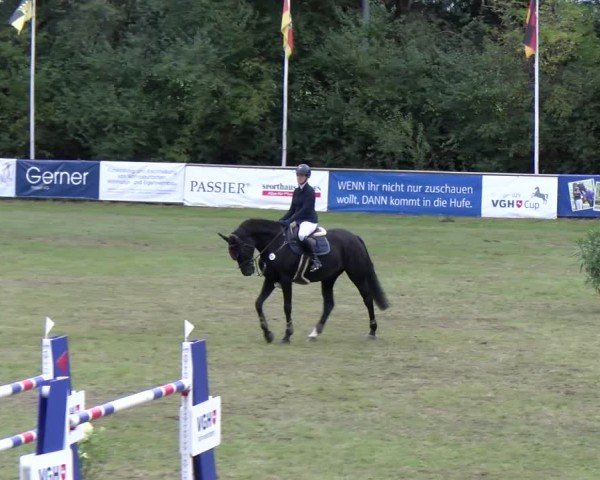Reitturnier Scharnebeck 2024