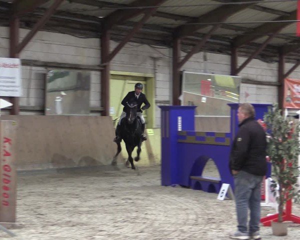 Reitturnier Elisenau 2024