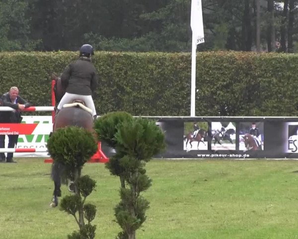 Reitturnier Münster-Handorf 2013