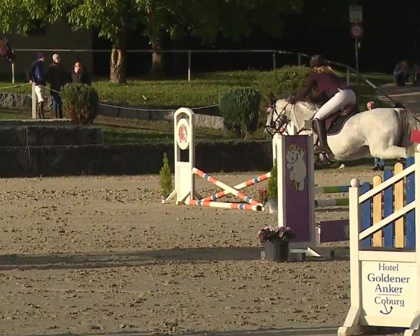 Reitturnier Frankenhof-Sonnefeld/Ofr. 2024