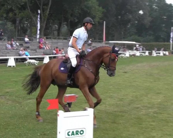 Reitturnier Münster-Handorf 2013