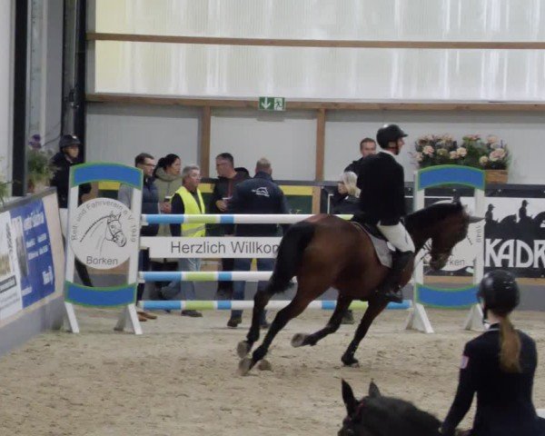 Reitturnier Borken 2024