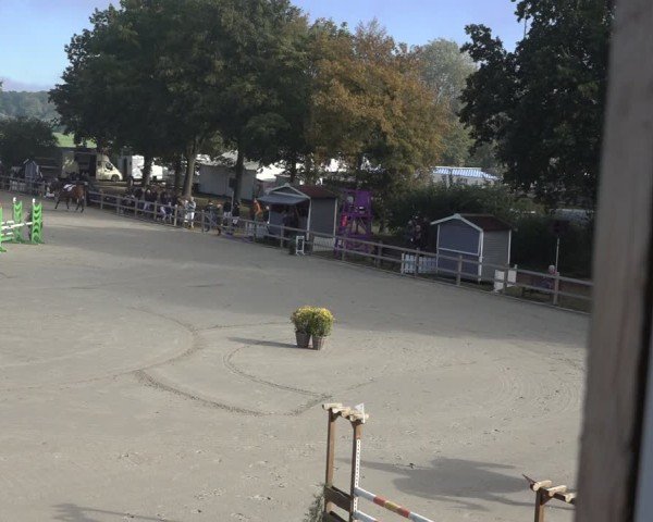 Reitturnier Scharnebeck 2024
