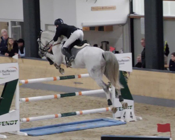 Reitturnier Borken 2024
