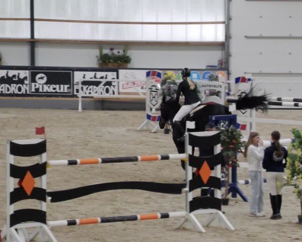 Reitturnier Borken 2024