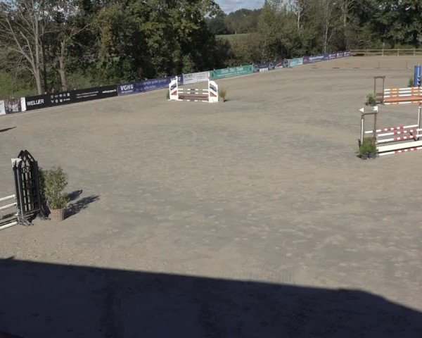 Reitturnier Scharnebeck 2024