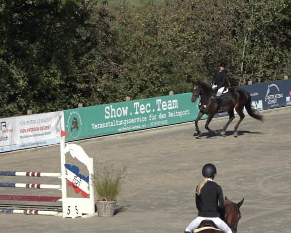 Reitturnier Scharnebeck 2024