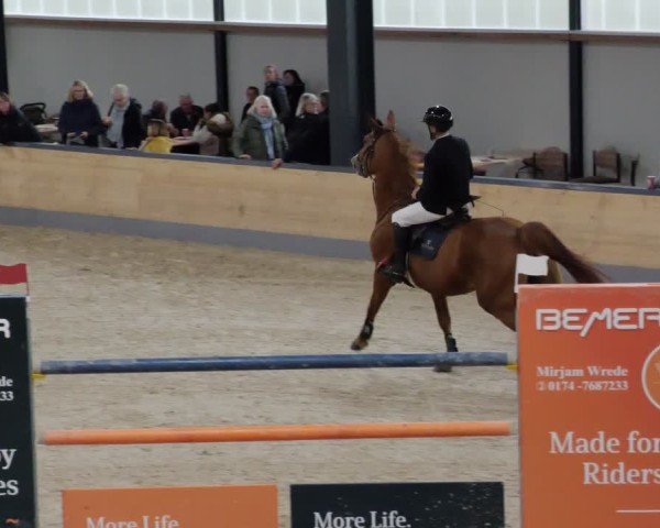 Reitturnier Borken 2024