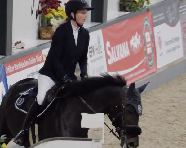 Reitturnier Borken 2024