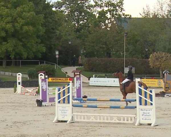 Reitturnier Frankenhof-Sonnefeld/Ofr. 2024