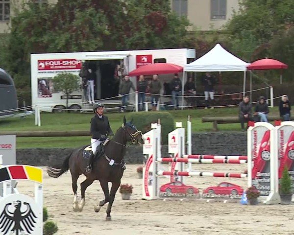 Reitturnier Frankenhof-Sonnefeld/Ofr. 2024