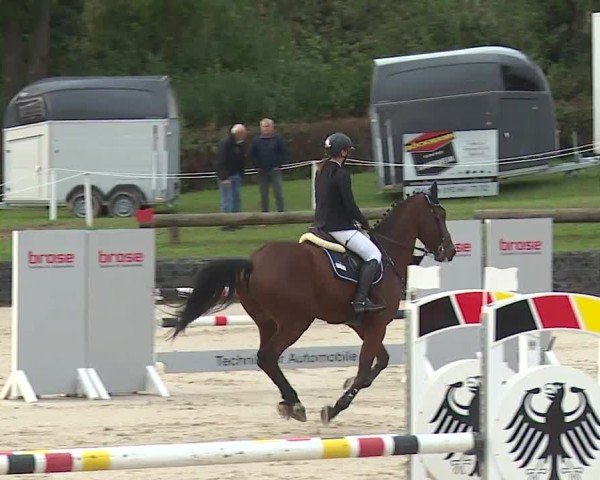 Reitturnier Frankenhof-Sonnefeld/Ofr. 2024