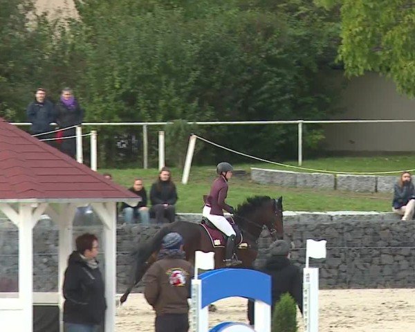 Reitturnier Frankenhof-Sonnefeld/Ofr. 2024