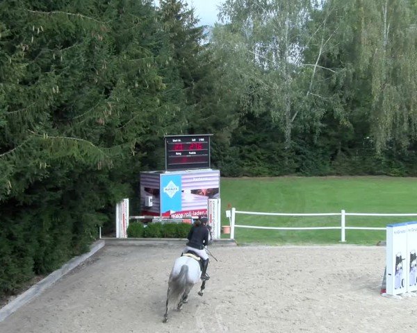Reitturnier Dielsdorf 2024