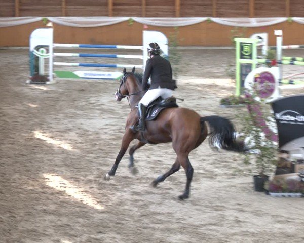 Reitturnier Xanten - Reitanlage Miss 2024