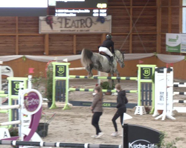 Reitturnier Xanten - Reitanlage Miss 2024
