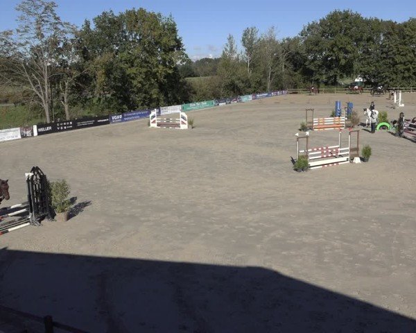 Reitturnier Scharnebeck 2024