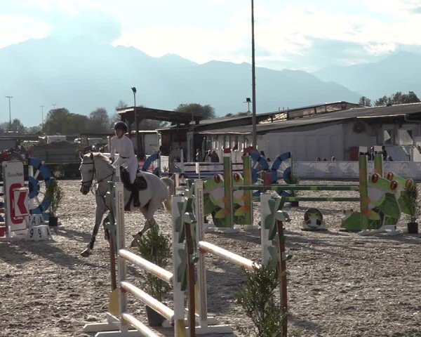 Reitturnier Giubiasco 2024