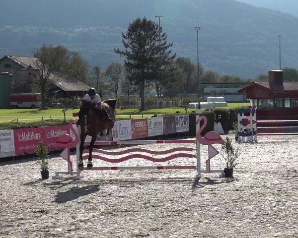 Reitturnier Giubiasco 2024