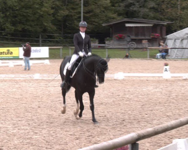 Reitturnier Igls 2024