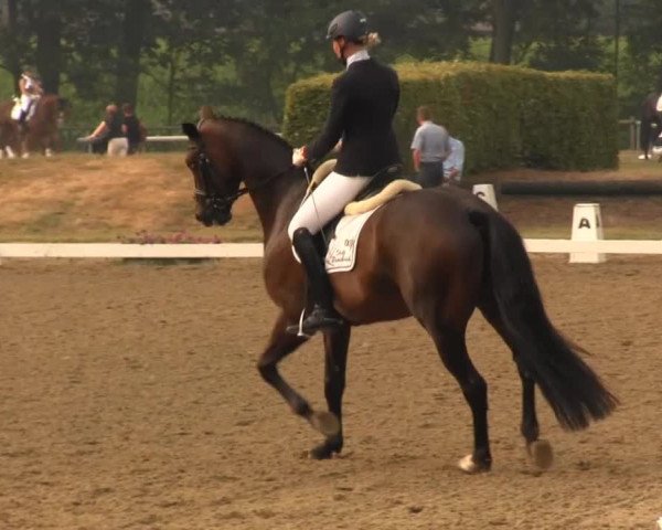 Westfalen-Woche 2013