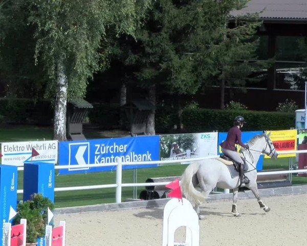 Reitturnier Dielsdorf 2024